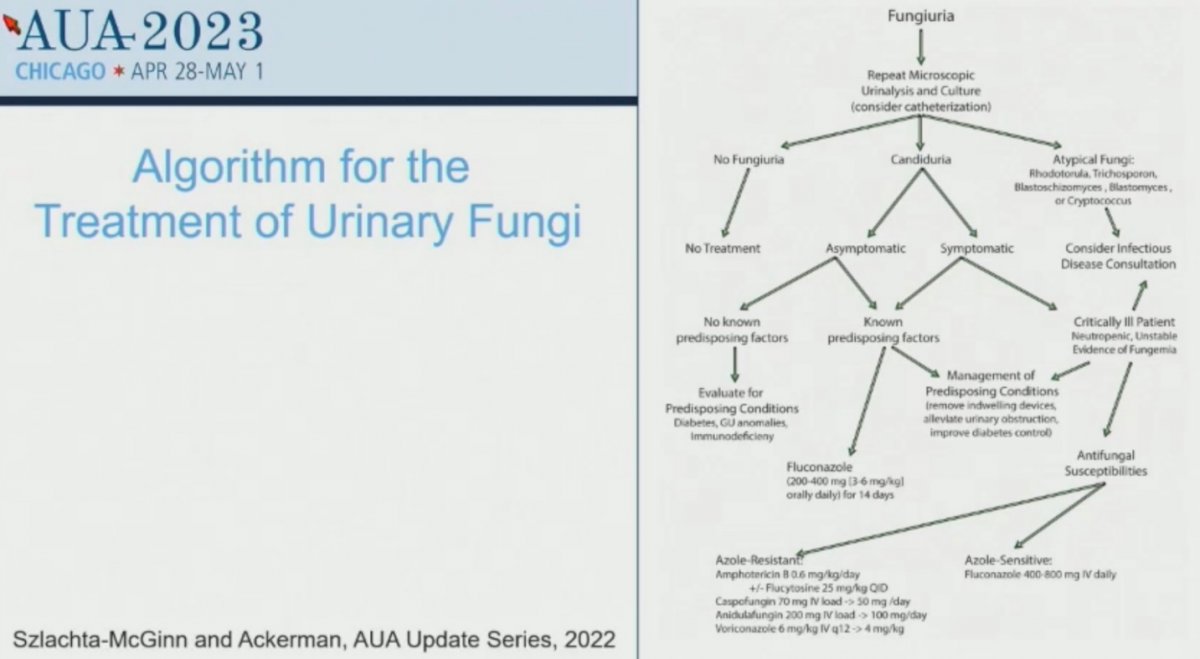 aua-2023-state-of-the-art-lecture-treatment-of-fungal-urinary-tract